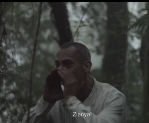 As Director